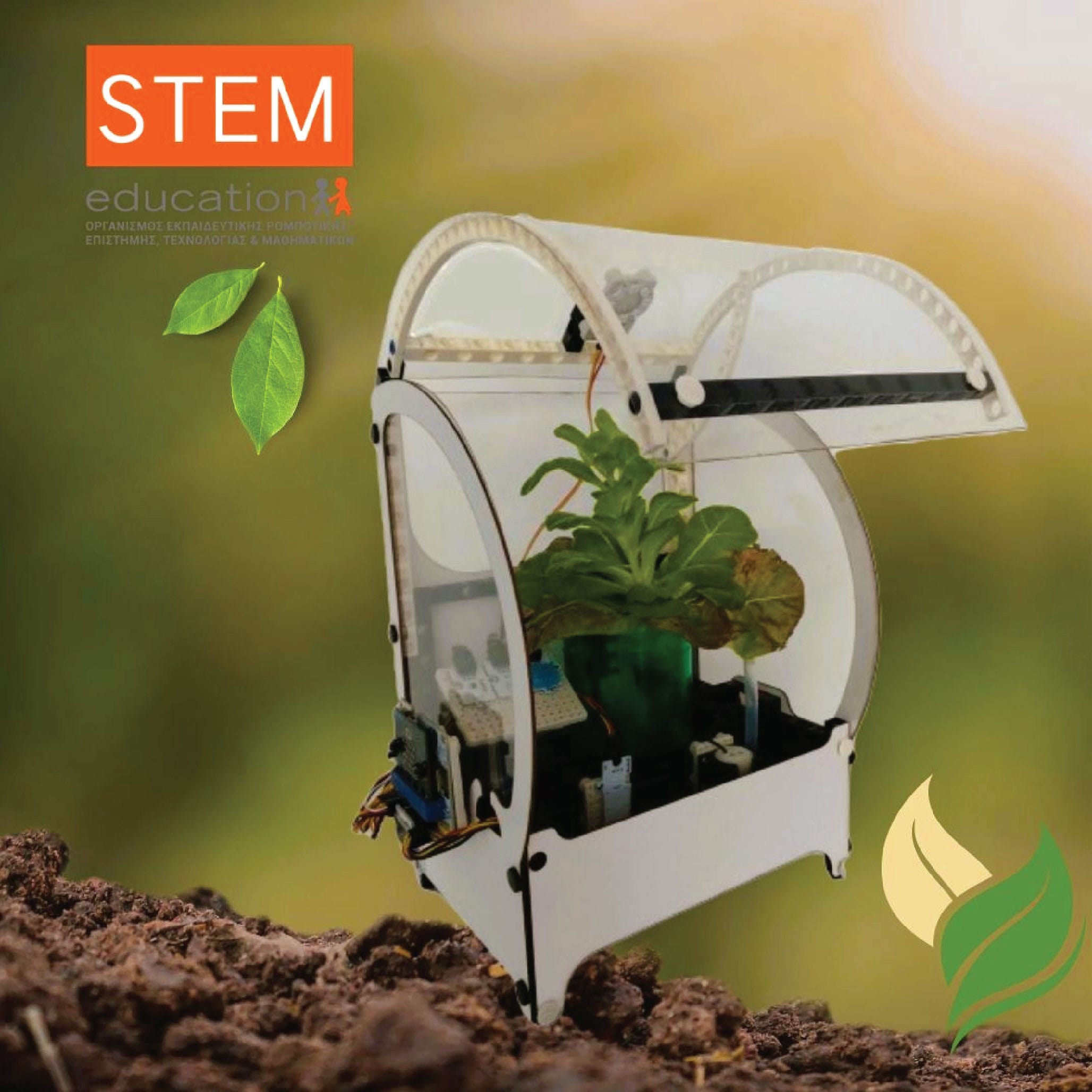 STEM Roots